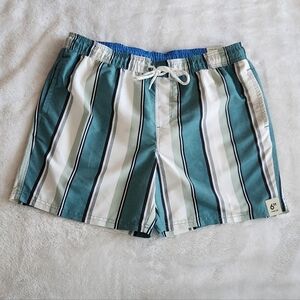 🌊Men’s Striped Green and White Swim Shorts – Size Large – NWT Bathing Suit New